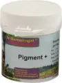 Dierendrogist Pigment Plus Voedingssupplement - 100 tabletten