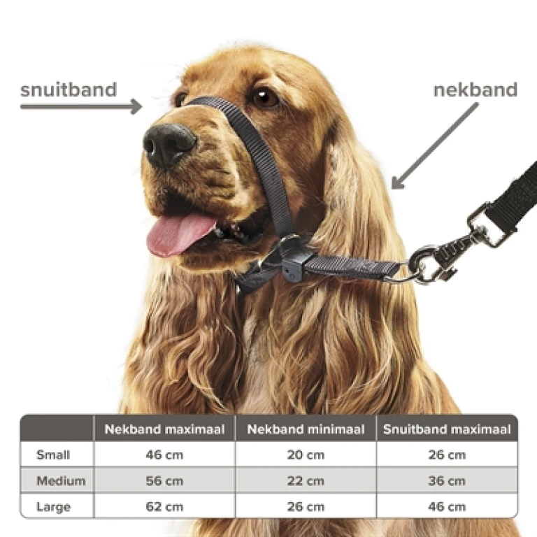 Beaphar Gentle Leader Hoofdhalsband Zwart Medium - 1 stuk