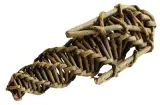 Happy Pet Knaagspeeltje Mais Wilg - 1 stuk - 16 x 5 x 5 cm