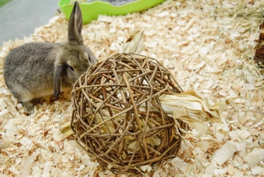 Happy Pet Speelbal van Wilg Nature First - 1 stuk - 9,5 cm