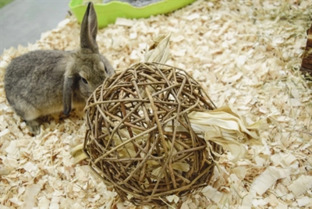 Happy Pet Speelbal Wilg Nature First 17 cm - 1 stuk