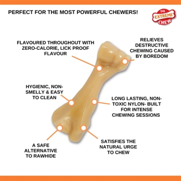 Nylabone Power Chew Kauwspeelgoed Kipsmaak voor Harde Bijters - 1 stuk