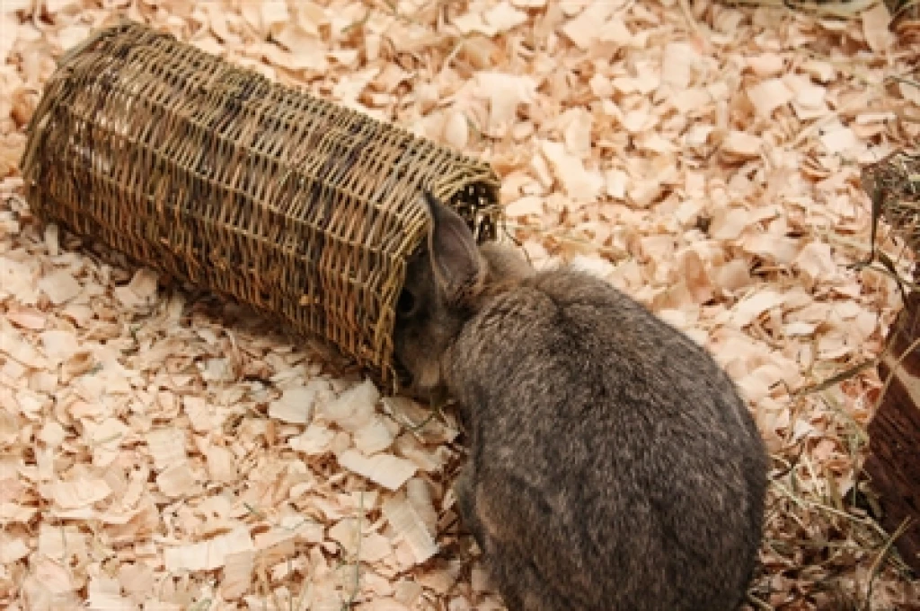 Happy Pet Wilgen Tunnel voor konijnen en knaagdieren - 1 stuk - 27x13x13 cm