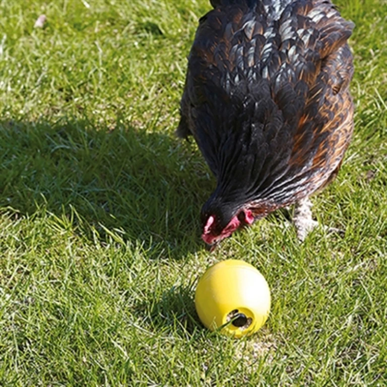 Savic Chicken Fun kippenspeelgoed - 1 stuk (7,5 x 8 cm)