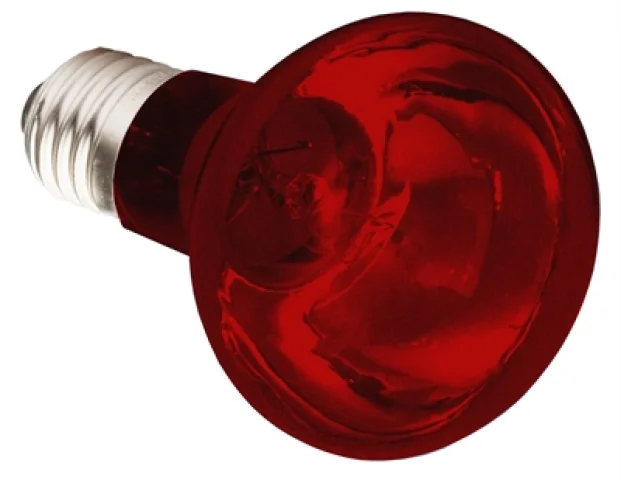 Komodo Infrarood Warmtelamp Es 75 Watt
