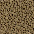 Beaphar Care+ Konijn Senior 1.5 Kg