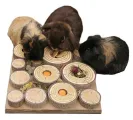 Rosewood Maze-A-Log Treat Challenge Speelgoed voor Konijnen, 1 stuk