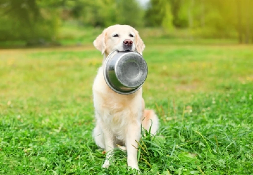Happy Pet Voerbak RVS - 16,5 cm - 1 stuk