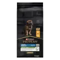 Pro Plan Hond Droogvoer Puppy Large Breed Robuust 12 kg