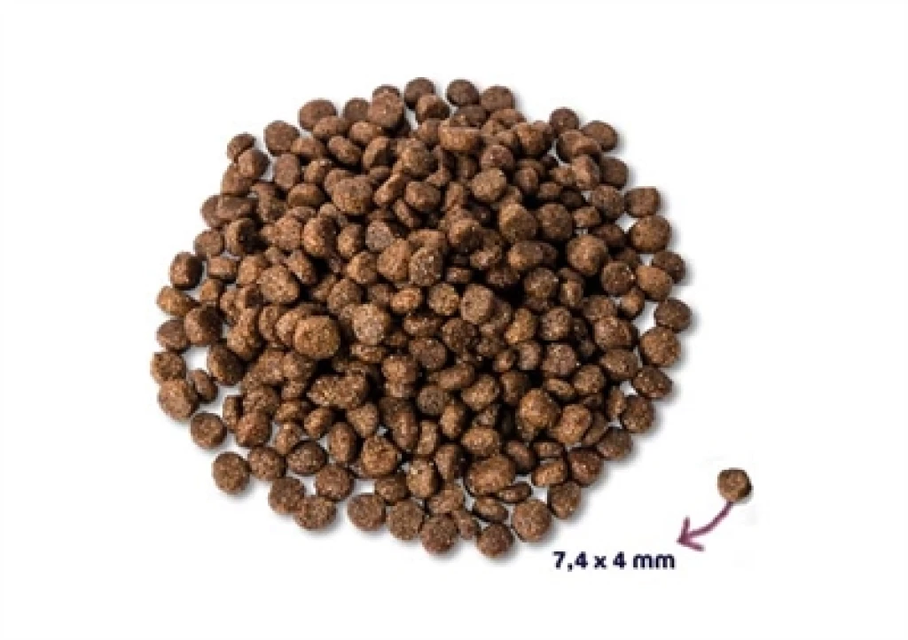 Renske Hond Droogvoer Puppy Kip & Lam 2 kg