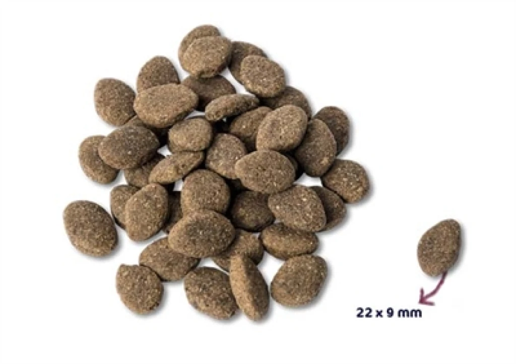 Renske Hond Droogvoer Adult Lam Graanvrij 2 kg