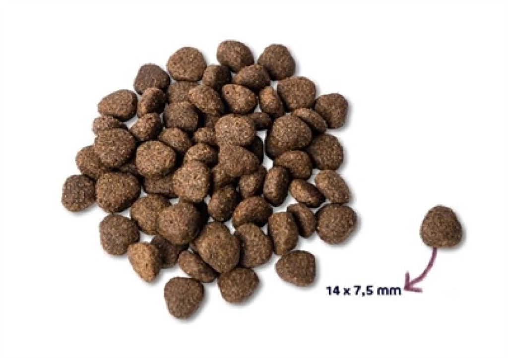 Renske Hond Droogvoer Adult Zalm Graanvrij 2 kg
