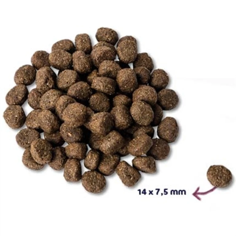Renske Hond Droogvoer Senior Kalkoen Graanvrij 2 kg