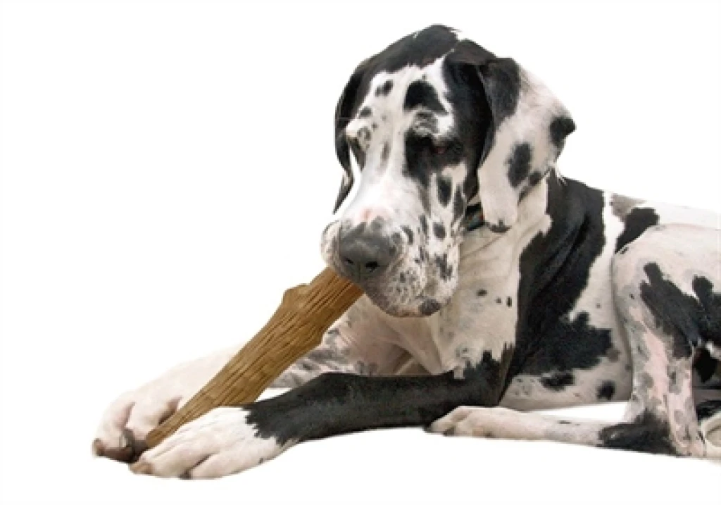 Petstages Durable Stick Kauwspeelgoed voor Honden - Bruin - 20 cm