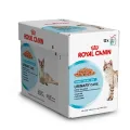 Royal Canin Kat Natvoer Urinary Care in Gravy - set van 12