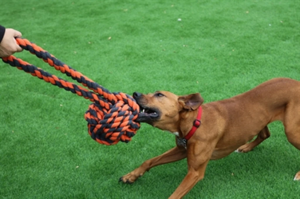 Happy Pet Nuts For Knots Extreme Bal Tugger hondenspeelgoed - 1 stuk