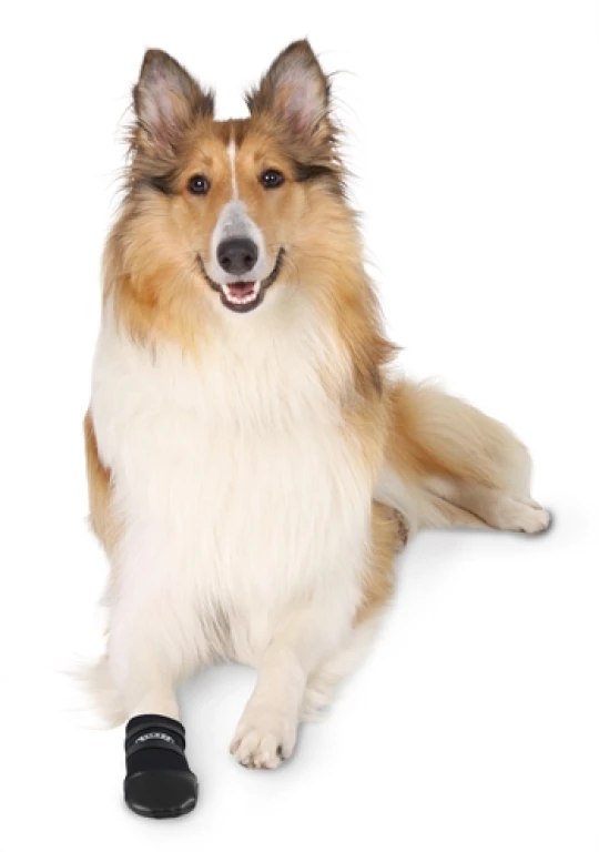 Trixie Walker Care Beschermschoenen Zwart - XL (set van 2)