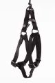 Martin Sellier Instap Tuig Nylon Zwart 25-35 cm - 1 stuk