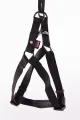 Martin Sellier Instap Hondentuig Nylon Zwart 20 mm x 50-70 cm - 1 stuk