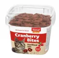 Sanal Kat Snacks Cranberry & Kip 1 stuk