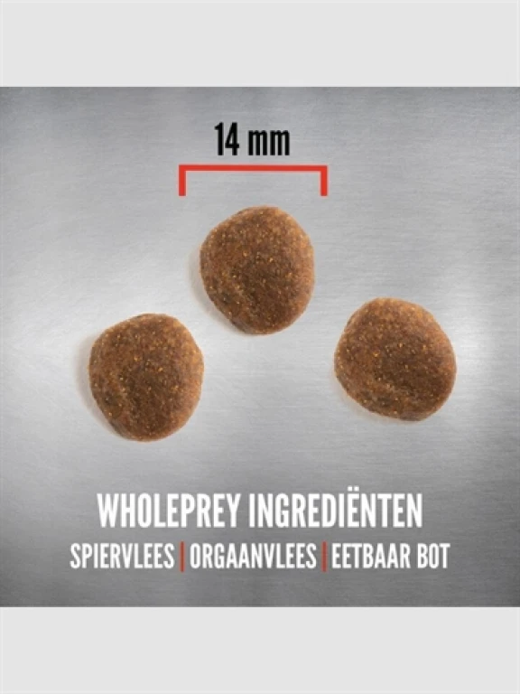 Orijen Hond Droogvoer 6 Fish - 1 stuk van 11,4 kg