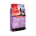 Orijen Hond Droogvoer Puppy Large Breed 11.4 kg