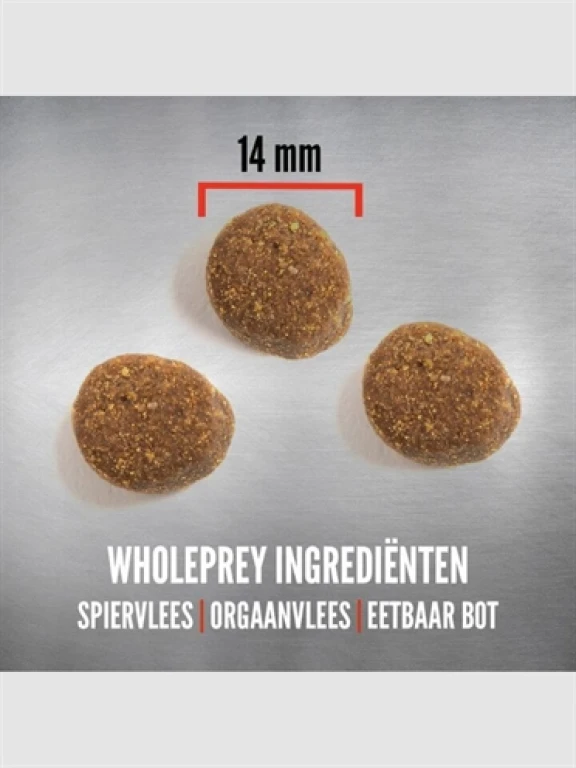 Orijen Hond Droogvoer Puppy Large Breed 11.4 kg