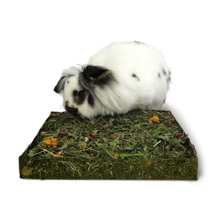 Rosewood Naturals Weiland Knaagsnack voor Konijnen en Knaagdieren, 1 stuk