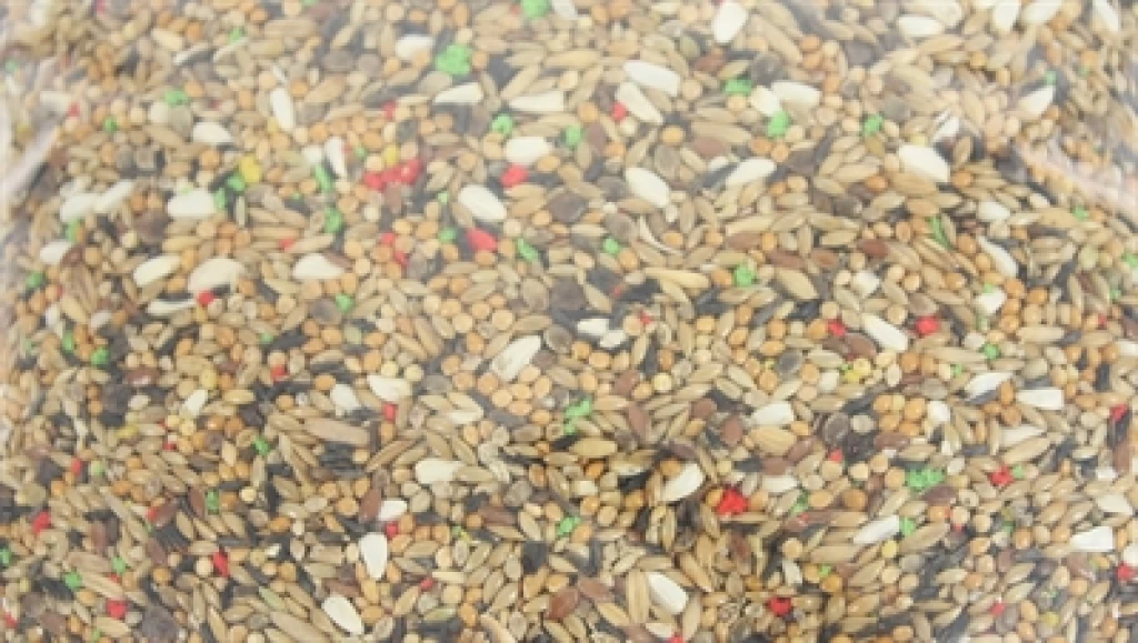 De Vries Vogelvoer voor Grote Parkieten - 2,5 kg