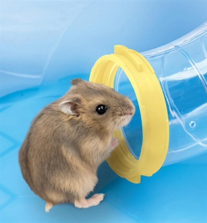 Hamsterkooi Meerkleurig 58x38x38,5 cm - 1 stuk