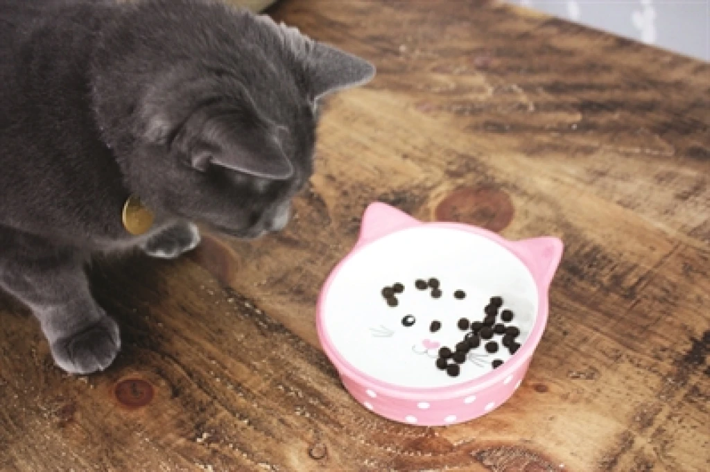 Happy Pet Voerbak voor Kat Polka Roze/Crème - 300 ml - 1 stuk