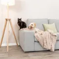 Trixie Hondendeken Cosy Beige 100X70 Cm