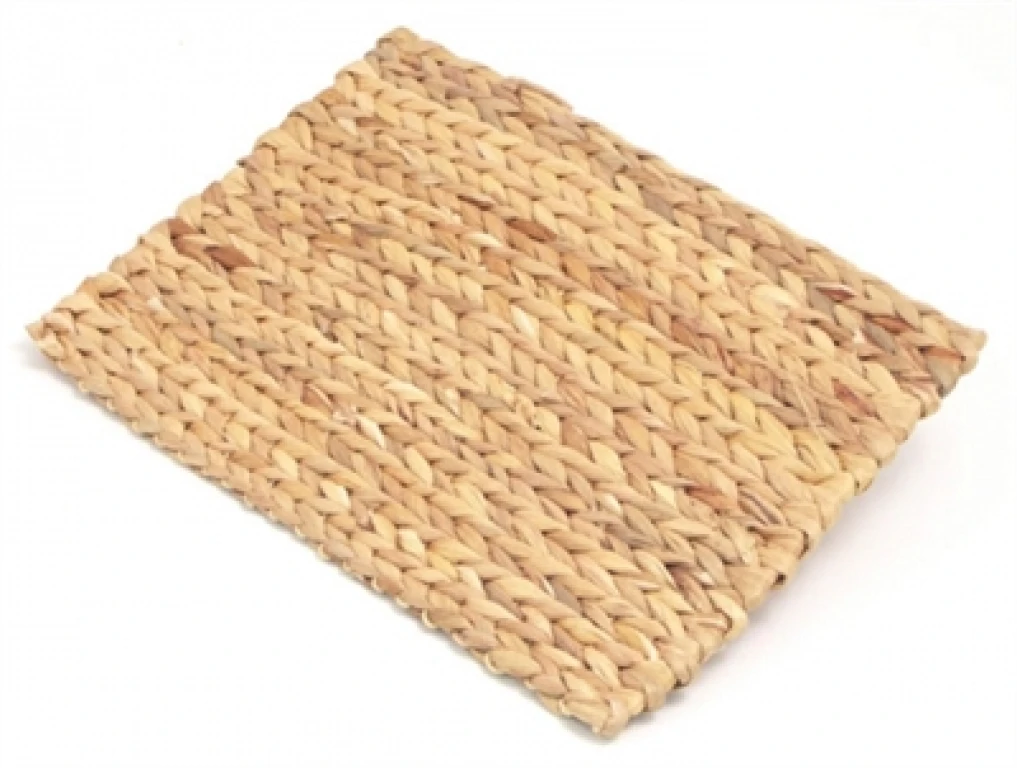 Rosewood Chill 'N' Chew Knaagmat, 33 x 24 cm - 1 stuk