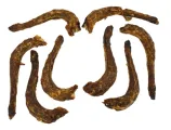 Hondensnack Kalkoennek 1 kg