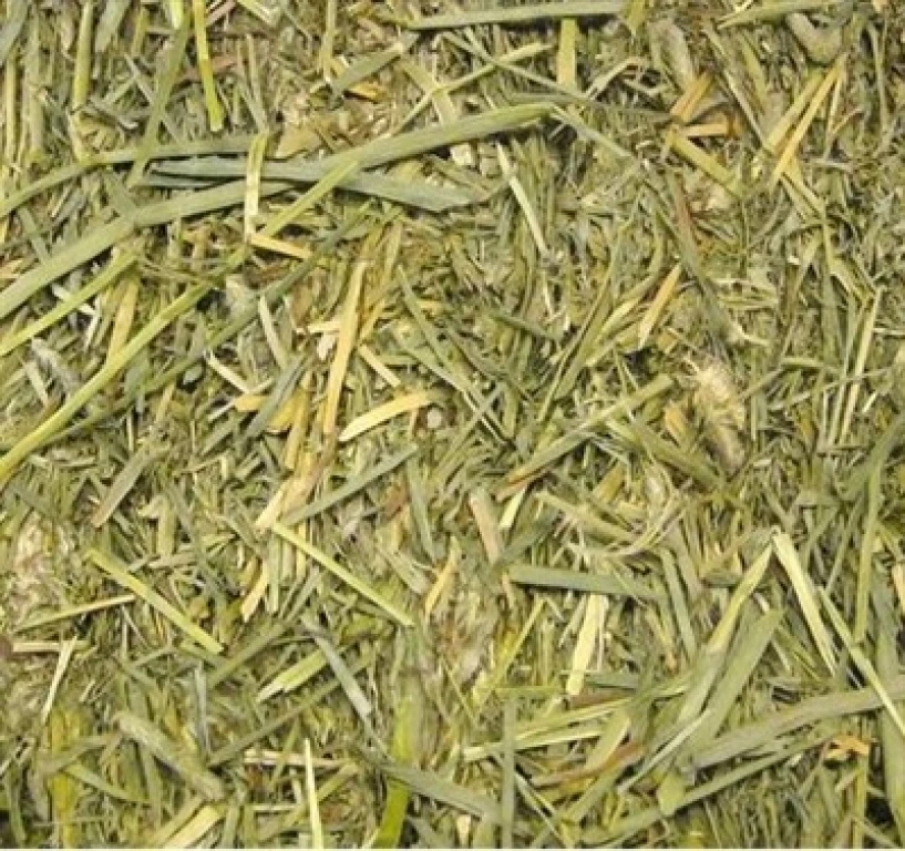 Beaphar Timothy Hooi 1 kg