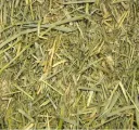 Beaphar Care+ Timothy Hooi 1 Kg