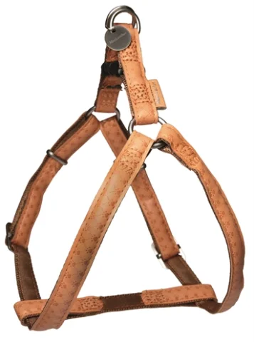 Macleather Tuig Bruin 20 Mmx50-75 Cm