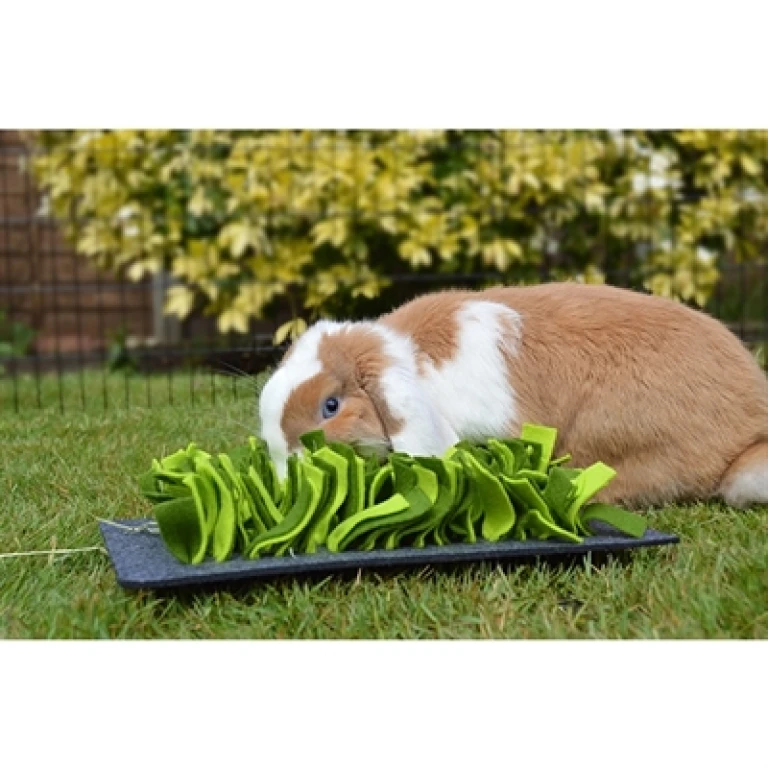 Rosewood Snuffelmat voor Knaagdieren Zwart/Groen 29.5x20 cm - 1 stuk