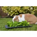 Rosewood Snuffelmat Knaagdier Zwart / Groen 29.5X20 Cm