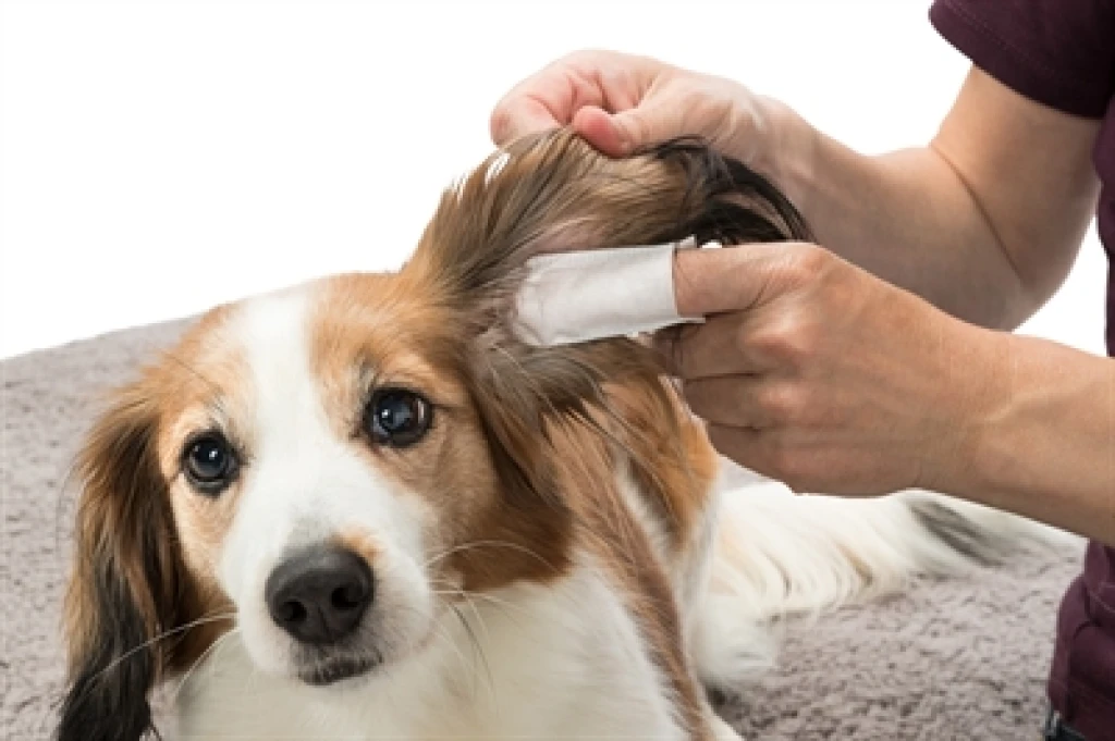 Trixie Ear Care Vingerpads voor oren - set van 50 stuk