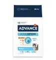 Advance Kat Droogvoer Kitten Kip & Rijst - 1 stuk (10 kg)