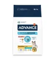Advance Kat Droogvoer Sterilized Sensitive Salmon - 10 kg