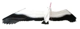 Rhombus 3d Jonas Seagull Kite