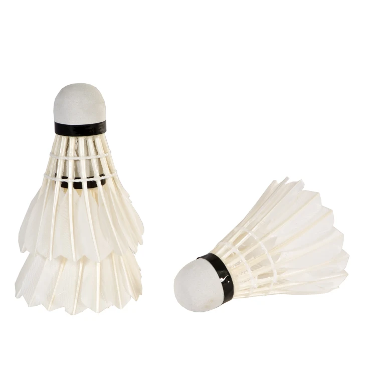 SportX Badmintonshuttles met veren - Wit - set van 3