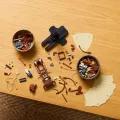 Lego 10363 Icons Vliegmachine Leonardo Da Vinci