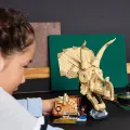 Lego 76969 Jurassic World Dinosuarus Triceratops