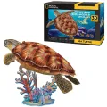 Cubic Fun 3d Puzzel NG Zee Schildpad