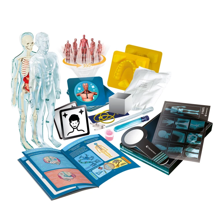 Clementoni Wetenschap Super Anatomie Experimenteerset - 1 stuk