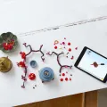 Lego 10369 Botanicals Flowers Japans Abrikoos
