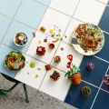 Lego 10329 Botanicals Miniplantjes